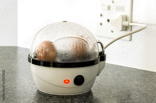eggs in an egg boiler