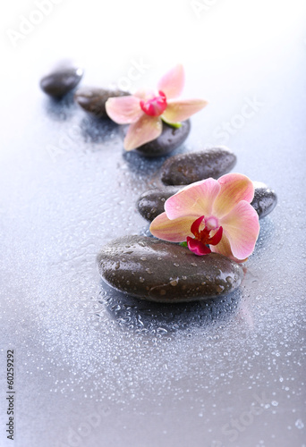 Composition with beautiful blooming orchid with water drops and