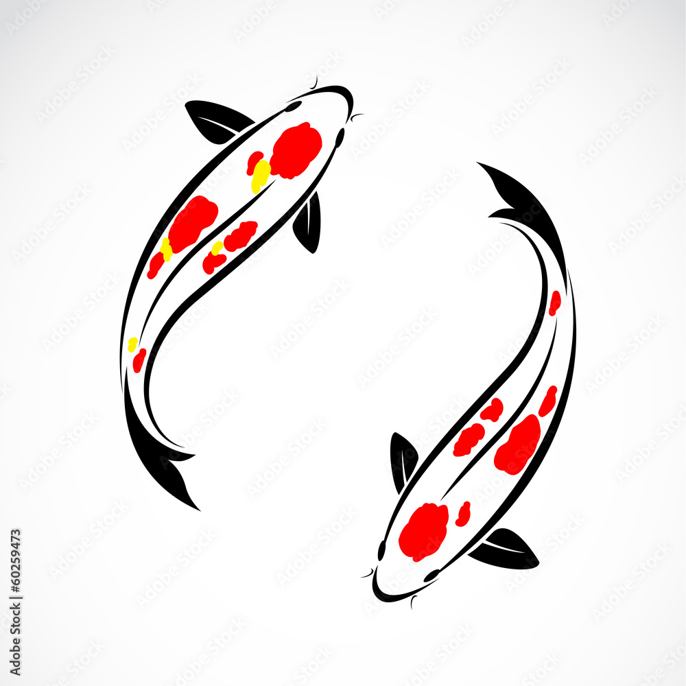 Fototapeta premium Vector image of an carp koi