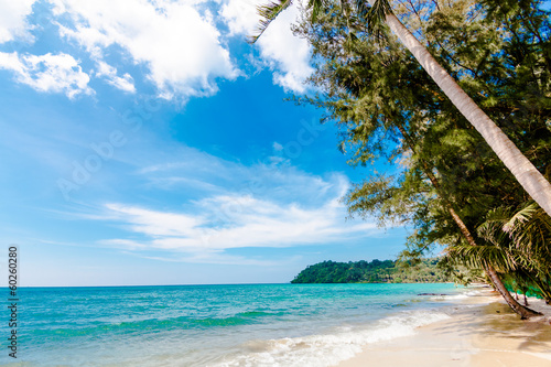 tropical beach in Thailand. © EwaStudio