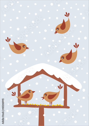 Cute birds are looking for food in the winter