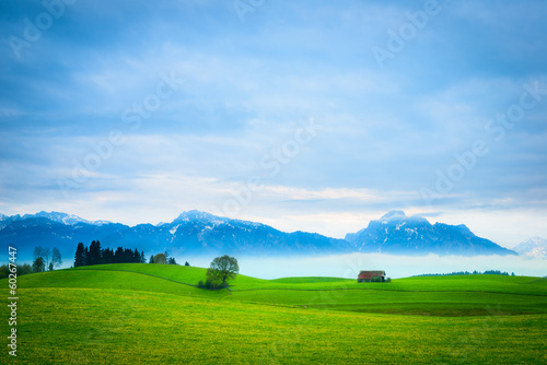 green meadow hill landscape with hut, tree and mountains