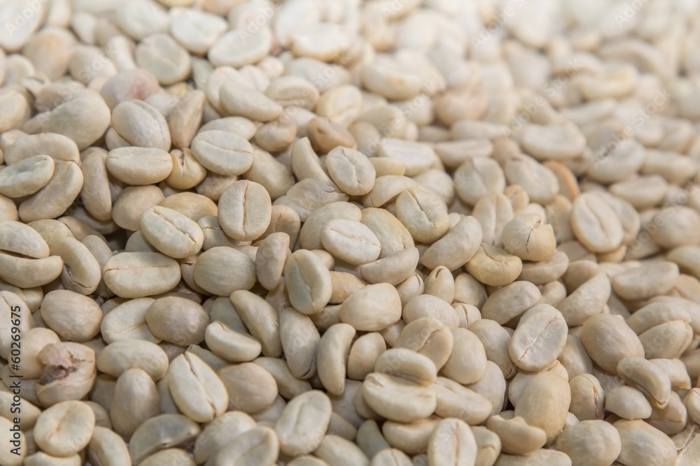 Green unroasted organic coffee beans.