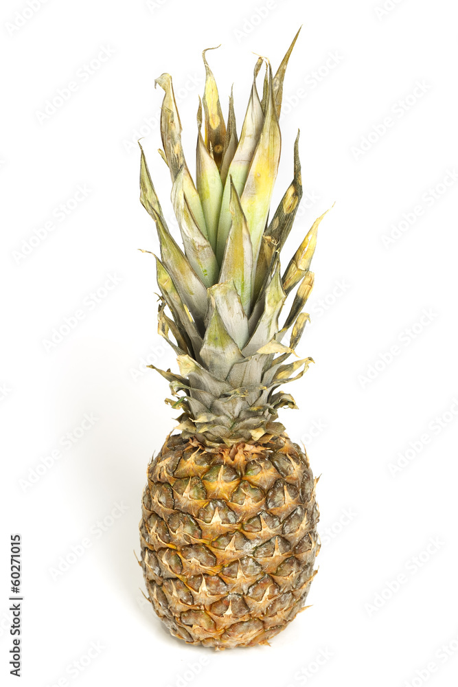 Fototapeta premium Pineapple