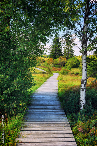 Summer landscape with wooden pathway