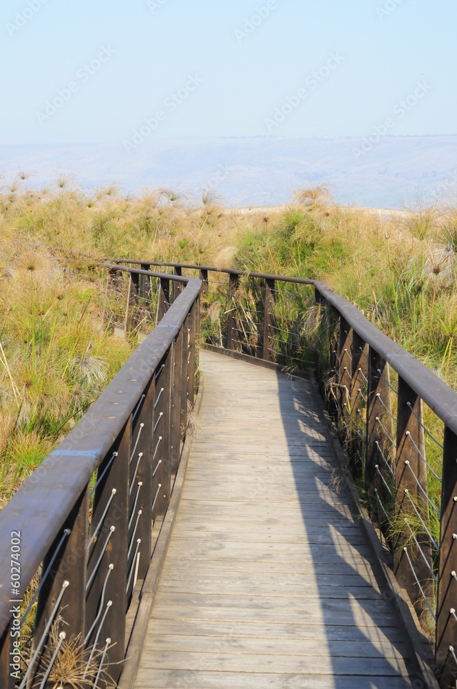 Wooden bridge in the Hula Valley, Israel