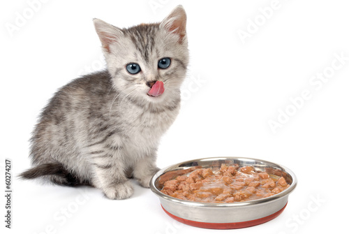 Fototapeta Naklejka Na Ścianę i Meble -  Kitten near a bowl with food. Isolated on white