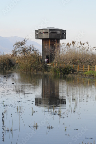 Wooden tower in the Hula Valley, Israel