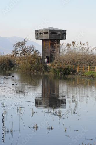 Wooden tower in the Hula Valley, Israel photo