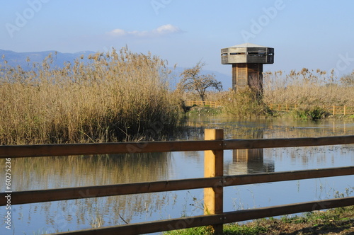 Wooden tower in the Hula Valley, Israel photo