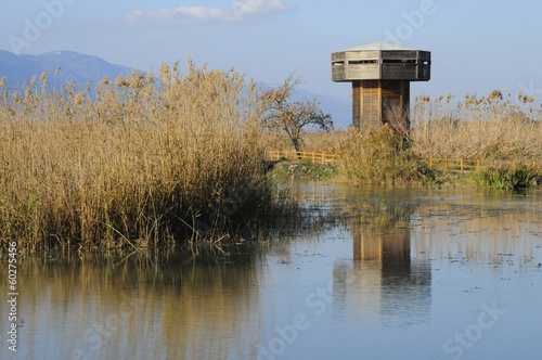 Wooden tower in the Hula Valley, Israel