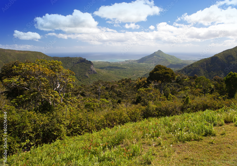 View of the wood, mountains and ocean. Mauritius