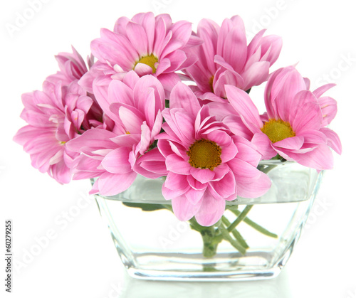 Wallpaper Mural Beautiful flowers in bowl isolated on white Torontodigital.ca