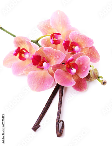 Fototapeta Naklejka Na Ścianę i Meble -  Beautiful blooming orchid and vanilla sticks  isolated on white
