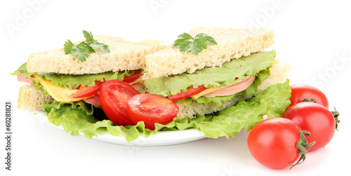 Fresh and tasty sandwiches on plate isolated on white