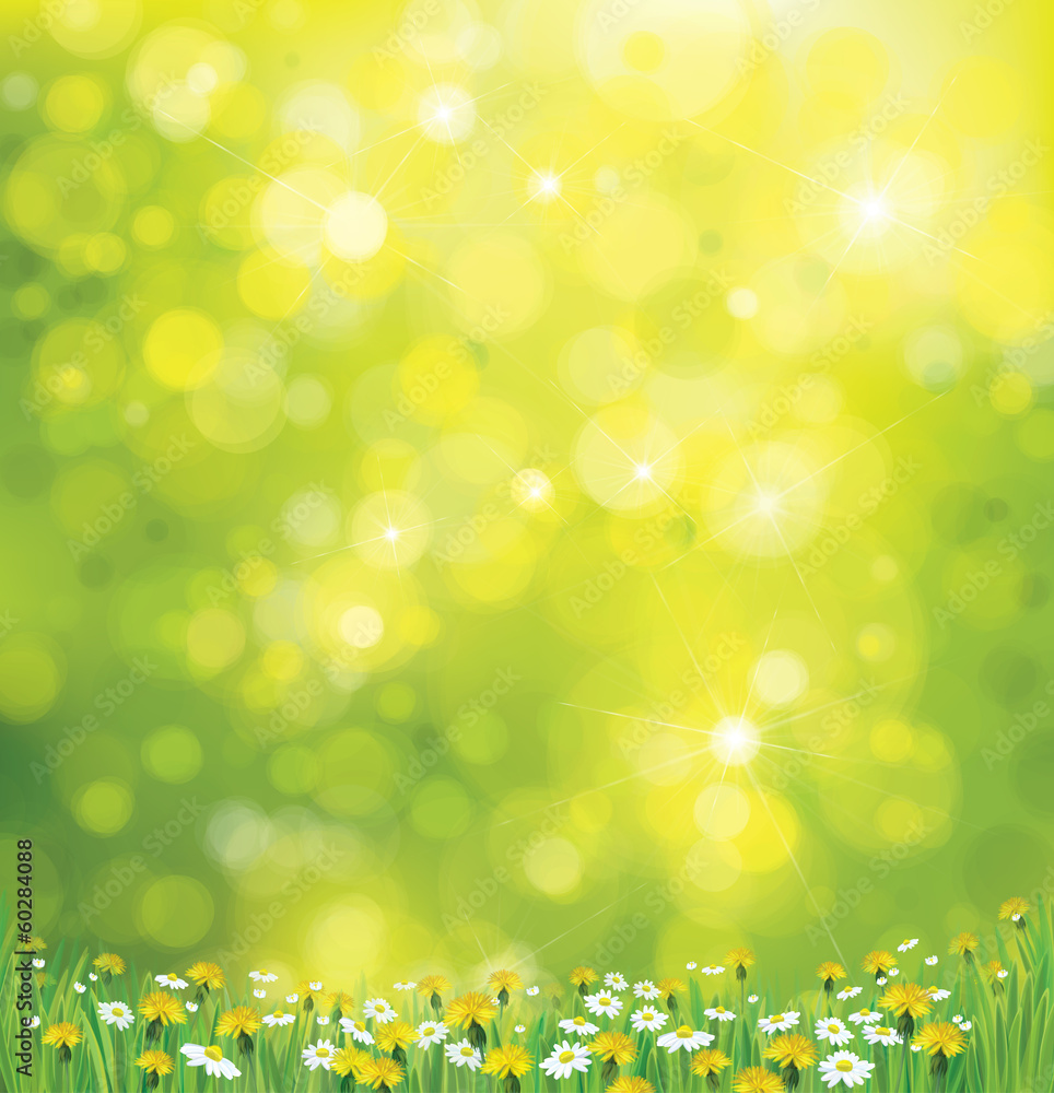 Vector sunshine background with chamomile and dandelion.