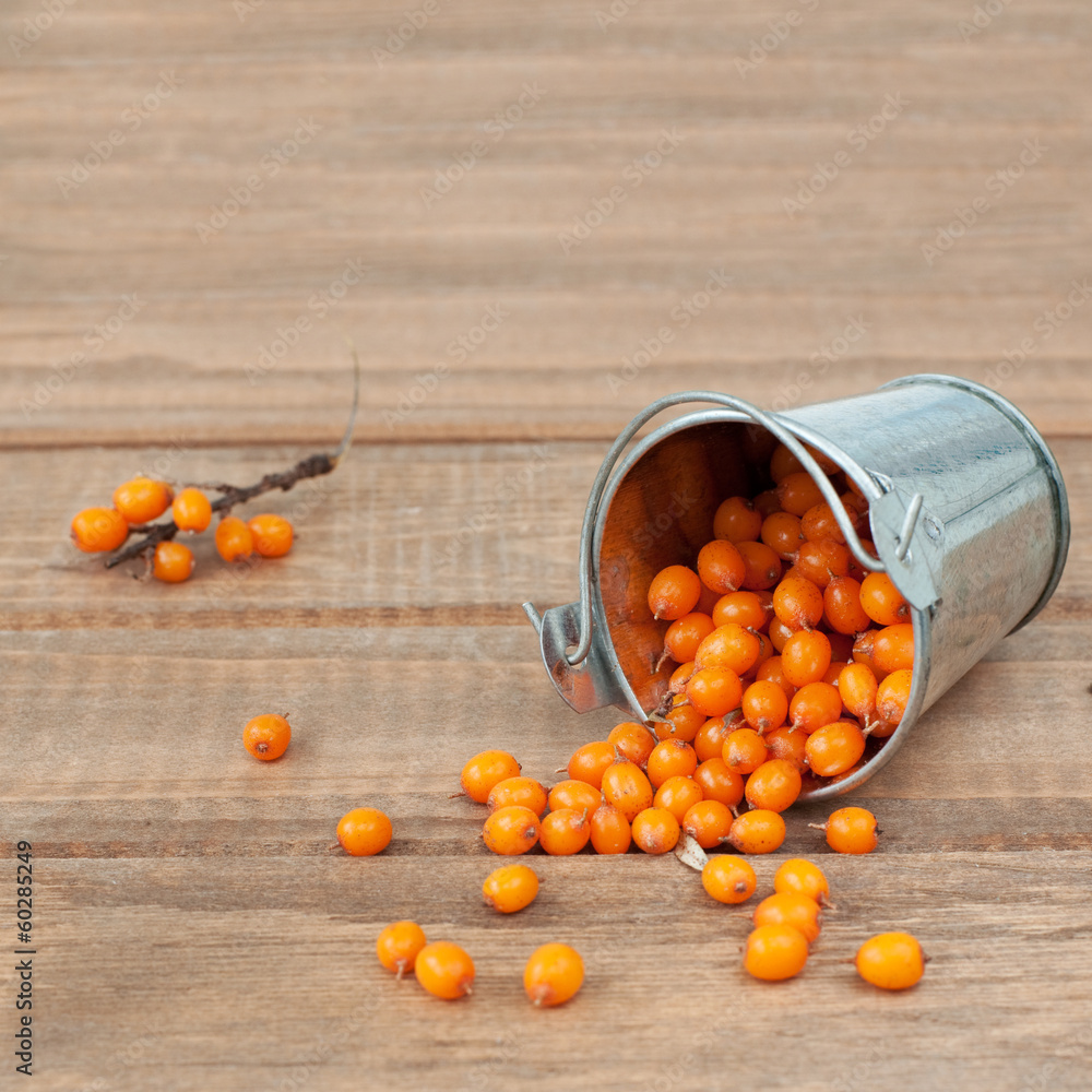 organic sea-buckthorn