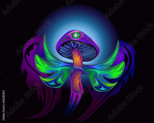 magic mushroom