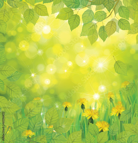 Vector spring background with yellow dandelions.