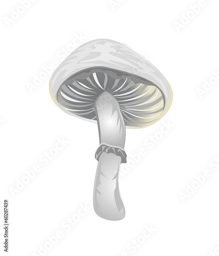 mushroom