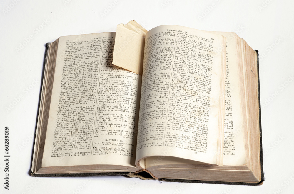 Obraz premium old Bible