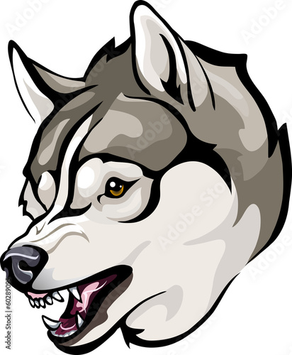 Huskies evil grin