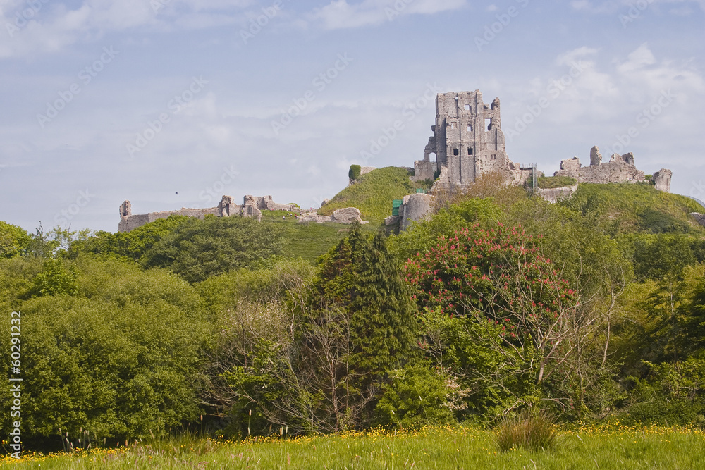 Fototapeta premium Corfe Castle