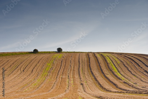 Wiltshire countryside