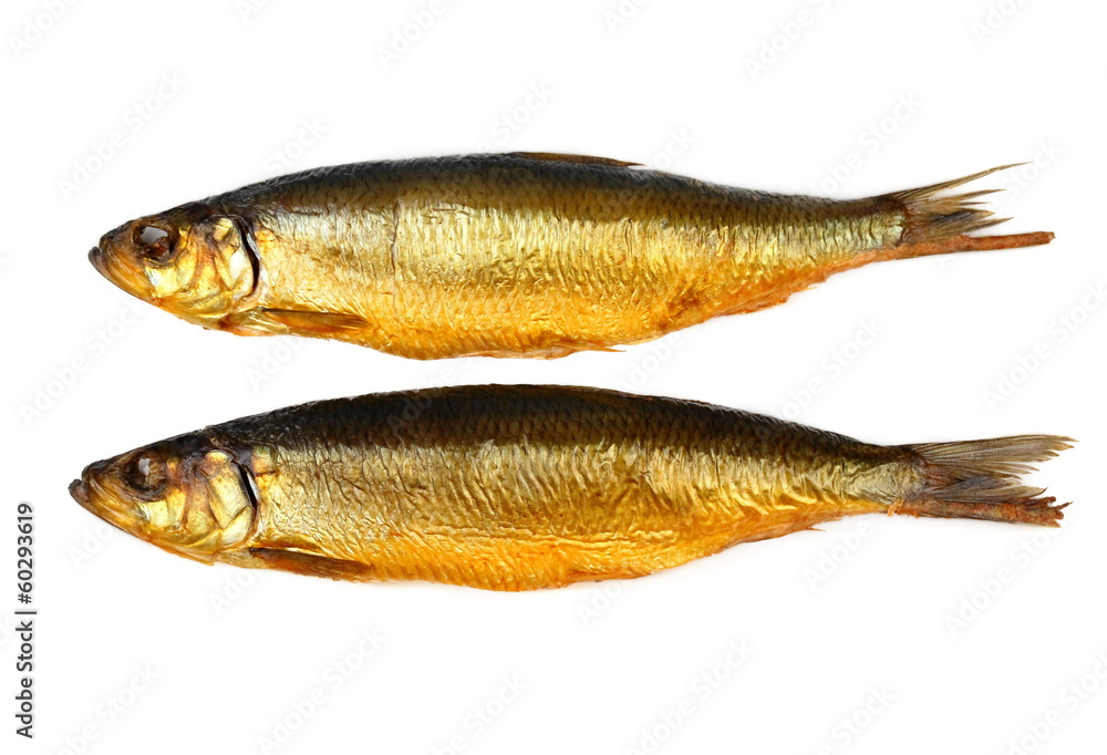 Two kippers, smoked herring on white background