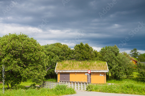 Scandinavian house with grass covered roof © Lamarinx