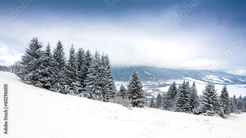winter scene in mountains © Pavlo Klymenko