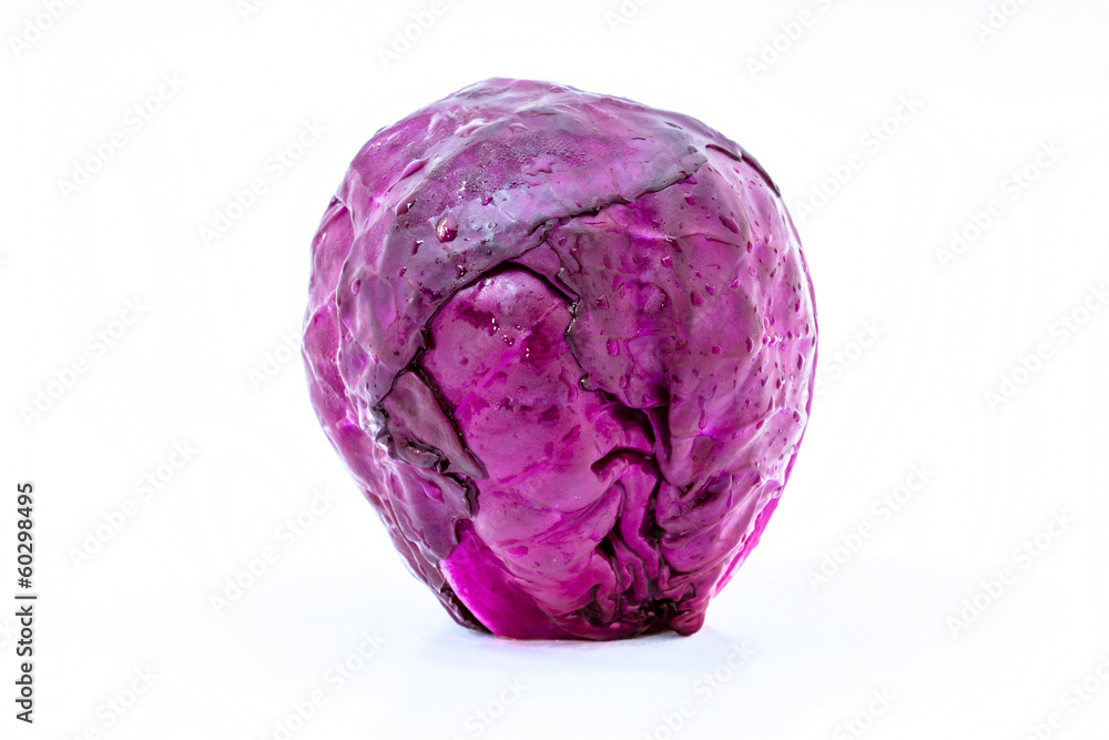 head of red cabbage on a white background head of red cabbage on a white background