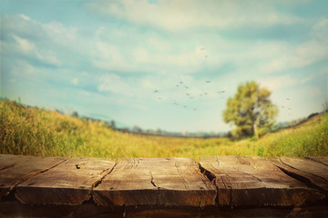 Spring background
