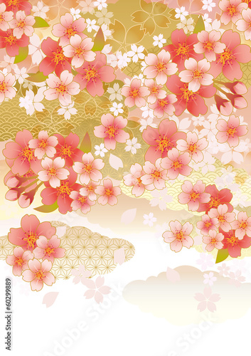雲_桜舞う