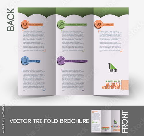 Web Service Tri-Fold Brochure Design