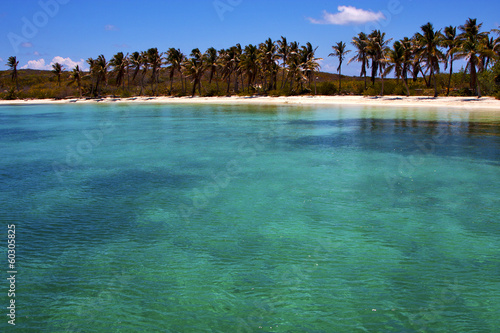 Fototapeta Naklejka Na Ścianę i Meble -  and rock in the  blue lagoon relax  of isla contoy  mexico