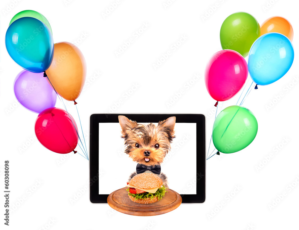 Fototapeta premium dog with food and balloons on a tablet screen