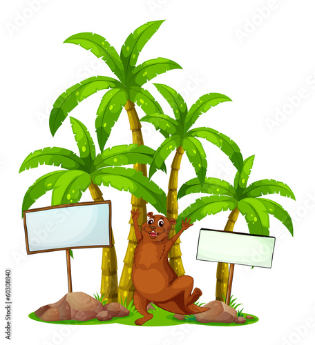 A brown sealion in the middle of the signboards