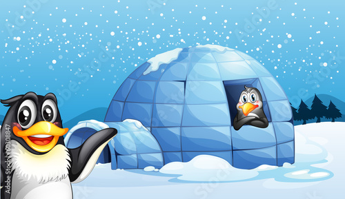 Penguins and the igloo
