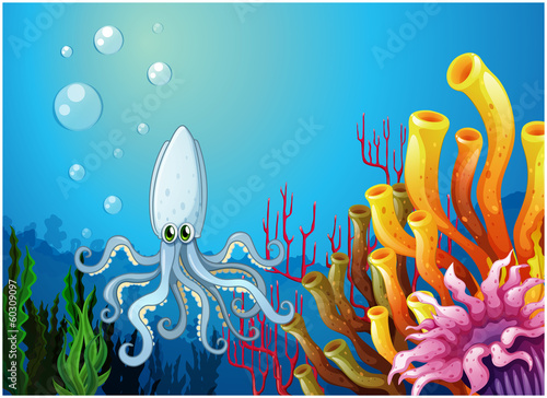 A squid under the sea