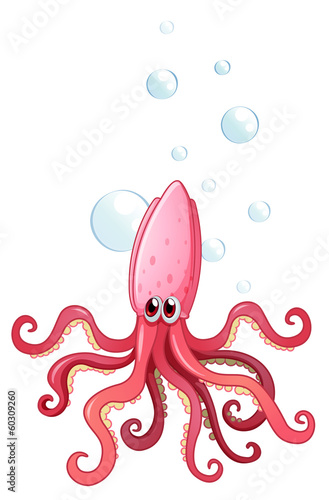 A pink octopus