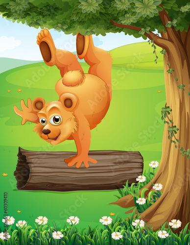 A bear at the hilltop playing near the tree