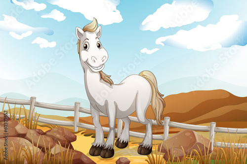 A white horse near the wooden fence