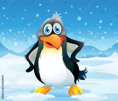 A big penguin in a snowy area