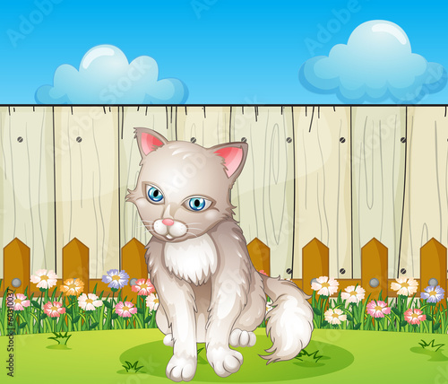 A sad cat near the wooden fence