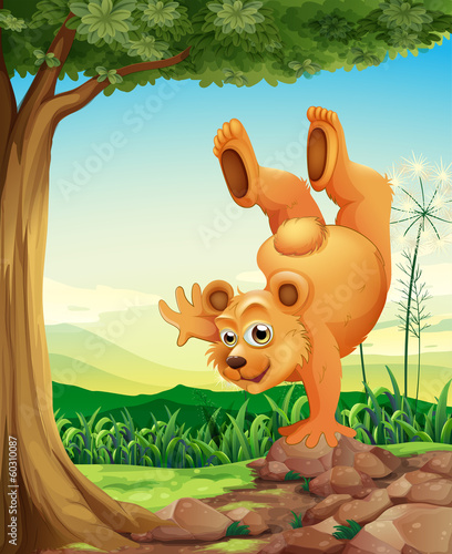 A bear doing a handstand near the tree