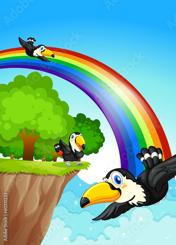 A rainbow near the cliff with flying birds