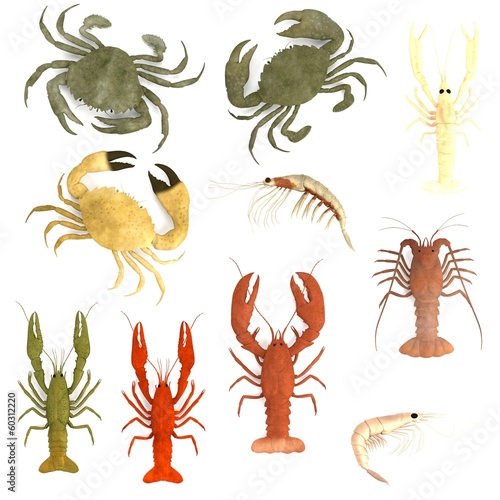 Φωτογραφία realistic 3d render of crustacean set