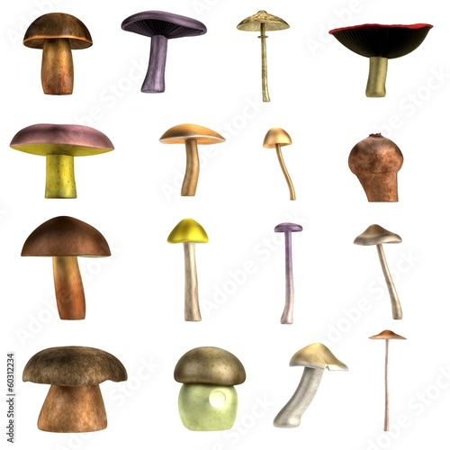 realistic 3d render of mushrooms