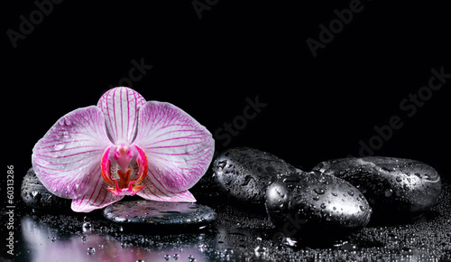 Fototapeta Naklejka Na Ścianę i Meble -  Orchid flower with zen stones on black background
